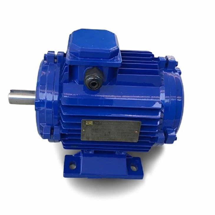 IMG_3261.JPG-removebg-preview(001)