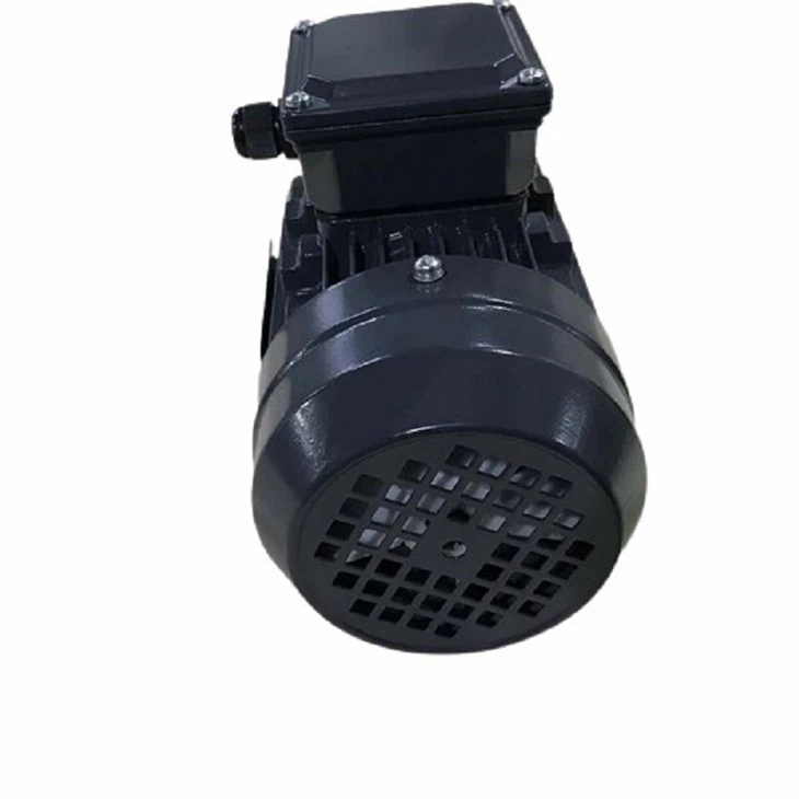 IE1__5_.JPG-removebg-preview (1)(001)