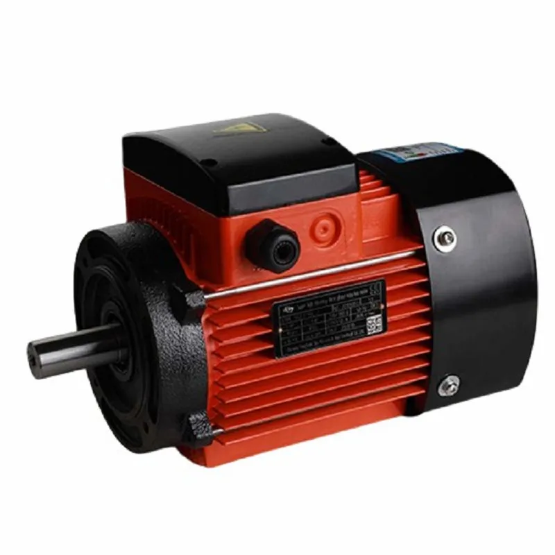 Vertical Water Pump Motor